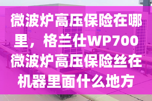 微波炉高压保险在哪里，格兰仕WP700微波炉高压保险丝在机器里面什么地方