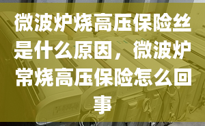 微波炉烧高压保险丝是什么原因，微波炉常烧高压保险怎么回事