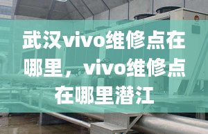 武汉vivo维修点在哪里，vivo维修点在哪里潜江