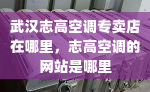 武汉志高空调专卖店在哪里，志高空调的网站是哪里