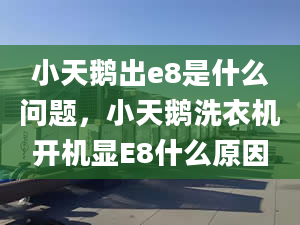 小天鹅出e8是什么问题，小天鹅洗衣机开机显E8什么原因