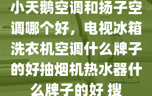 小天鹅空调和扬子空调哪个好，电视冰箱洗衣机空调什么牌子的好抽烟机热水器什么牌子的好 搜