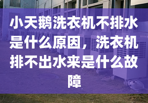 小天鹅洗衣机不排水是什么原因，洗衣机排不出水来是什么故障