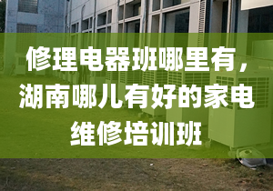 修理电器班哪里有，湖南哪儿有好的家电维修培训班