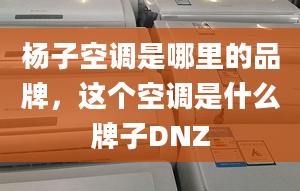 杨子空调是哪里的品牌，这个空调是什么牌子DNZ