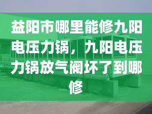 益阳市哪里能修九阳电压力锅，九阳电压力锅放气阀坏了到哪修