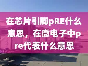 在芯片引脚pRE什么意思，在微电子中pre代表什么意思