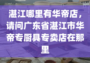 湛江哪里有华帝店，请问广东省湛江市华帝专厨具专卖店在那里