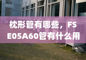 枕形管有哪些，FSE05A60管有什么用