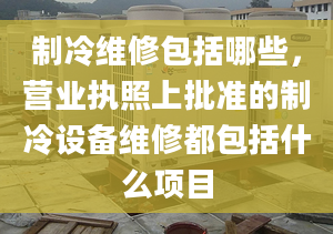 制冷维修包括哪些，营业执照上批准的制冷设备维修都包括什么项目