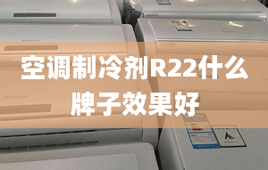 空调制冷剂R22什么牌子效果好