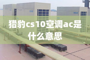 猎豹cs10空调ac是什么意思