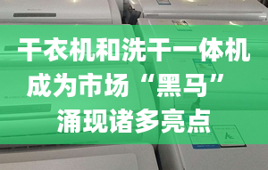 干衣机和洗干一体机成为市场“黑马” 涌现诸多亮点