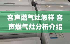 容声燃气灶怎样 容声燃气灶分析介绍