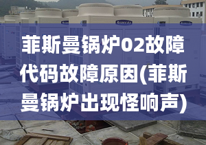 菲斯曼锅炉02故障代码故障原因(菲斯曼锅炉出现怪响声)