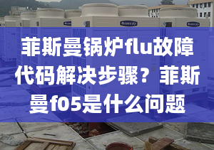 菲斯曼锅炉flu故障代码解决步骤？菲斯曼f05是什么问题