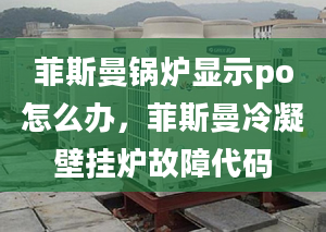 菲斯曼锅炉显示po怎么办，菲斯曼冷凝壁挂炉故障代码