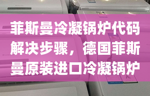 菲斯曼冷凝锅炉代码解决步骤，德国菲斯曼原装进口冷凝锅炉