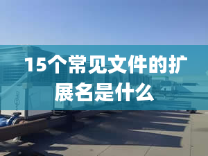 15个常见文件的扩展名是什么