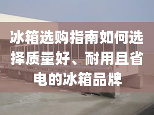 冰箱选购指南如何选择质量好、耐用且省电的冰箱品牌