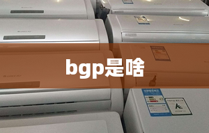 bgp是啥