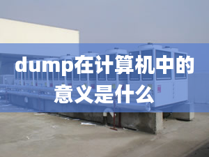 dump在计算机中的意义是什么