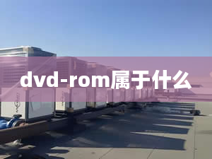 dvd-rom属于什么