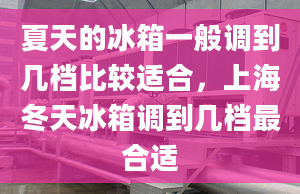 夏天的冰箱一般调到几档比较适合，上海冬天冰箱调到几档最合适