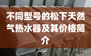 不同型号的松下天然气热水器及其价格简介