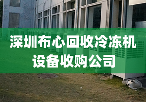 深圳布心回收冷冻机设备收购公司