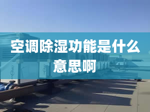 空调除湿功能是什么意思啊