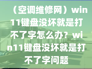 （空调维修网）win11键盘没坏就是打不了字怎么办？win11键盘没坏就是打不了字问题