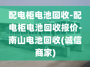 配电柜电池回收-配电柜电池回收报价-南山电池回收(诚信商家)