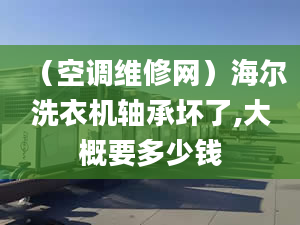 （空调维修网）海尔洗衣机轴承坏了,大概要多少钱