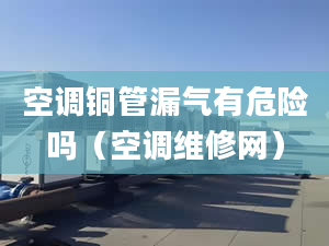 空调铜管漏气有危险吗（空调维修网）