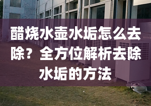 醋烧水壶水垢怎么去除？全方位解析去除水垢的方法