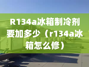 R134a冰箱制冷剂要加多少（r134a冰箱怎么修）