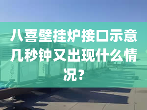 八喜壁挂炉接口示意几秒钟又出现什么情况？