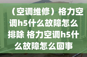 （空调维修）格力空调h5什么故障怎么排除 格力空调h5什么故障怎么回事