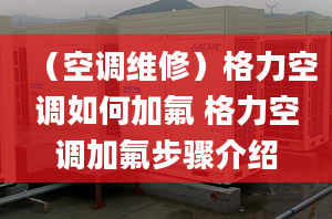 （空调维修）格力空调如何加氟 格力空调加氟步骤介绍