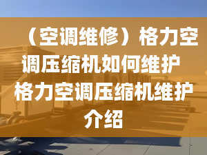 （空调维修）格力空调压缩机如何维护 格力空调压缩机维护介绍