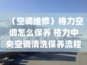 （空调维修）格力空调怎么保养 格力中央空调清洗保养流程