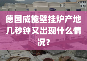 德国威能壁挂炉产地几秒钟又出现什么情况？