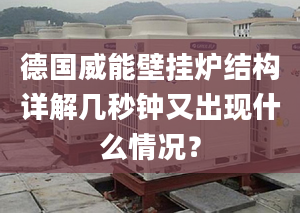 德国威能壁挂炉结构详解几秒钟又出现什么情况？