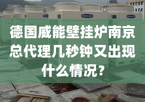 德国威能壁挂炉南京总代理几秒钟又出现什么情况？