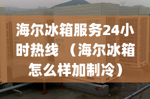 海尔冰箱服务24小时热线 （海尔冰箱怎么样加制冷）