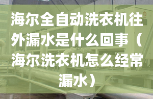 海尔全自动洗衣机往外漏水是什么回事（海尔洗衣机怎么经常漏水）