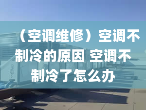 （空调维修）空调不制冷的原因 空调不制冷了怎么办