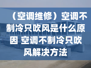 （空调维修）空调不制冷只吹风是什么原因 空调不制冷只吹风解决方法