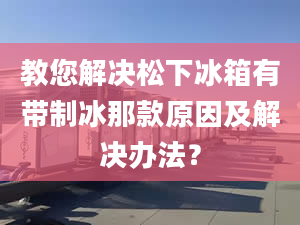 教您解决松下冰箱有带制冰那款原因及解决办法？